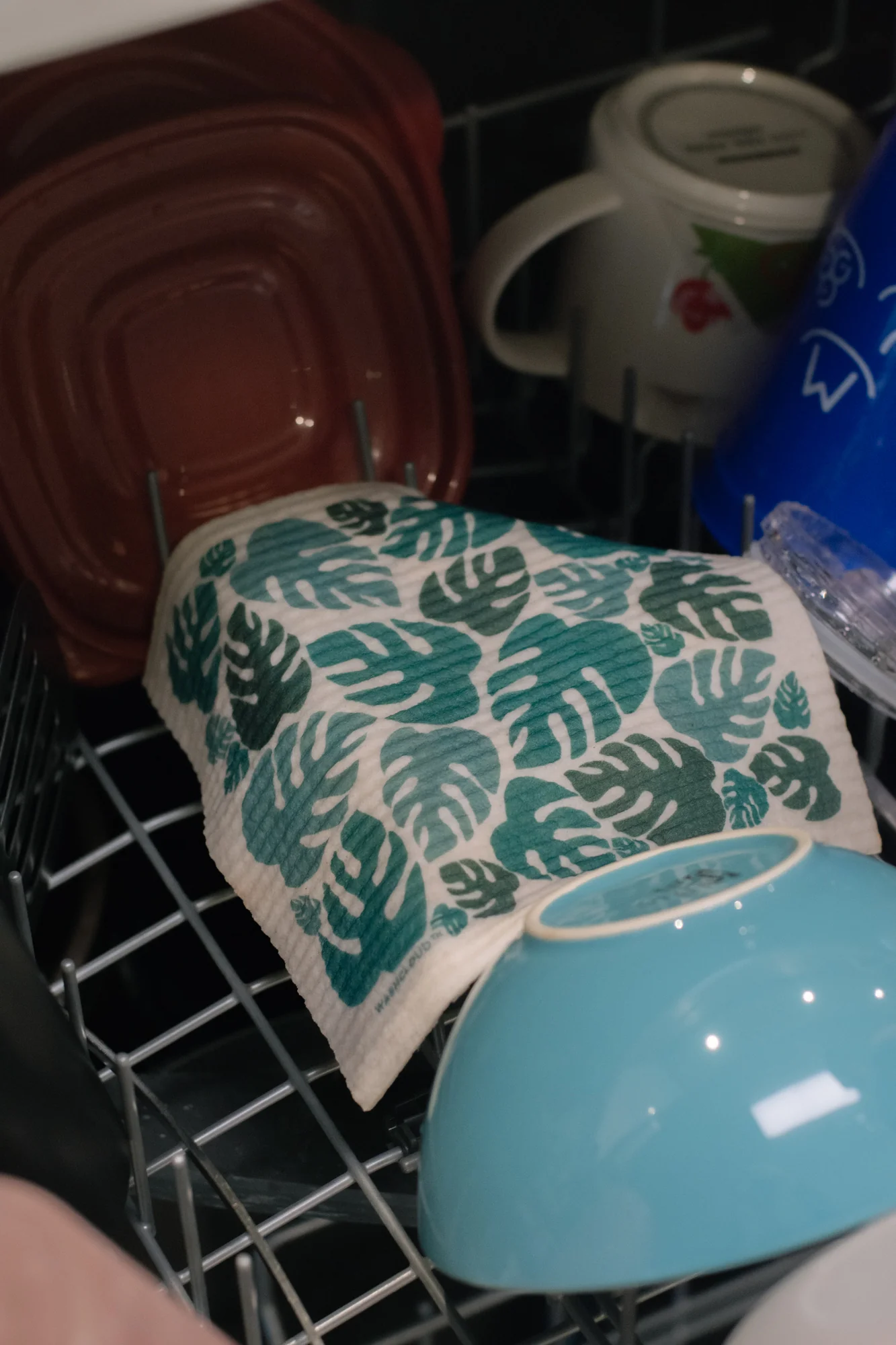 WASHCLOUD® - AVO-MAZING™ - No Tox Life® - Image 7